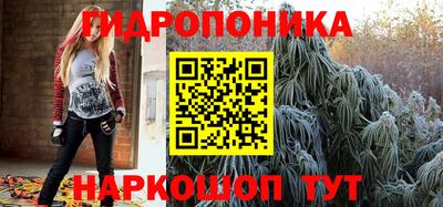 apvp Аргун