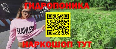 apvp Аргун