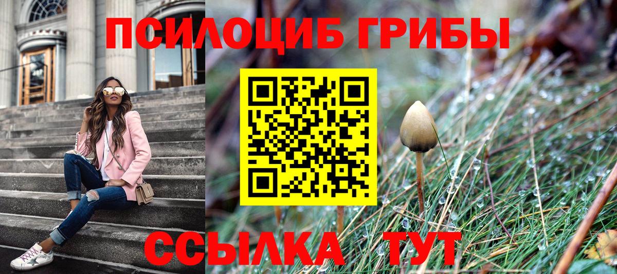 Псилоцибиновые грибы Psilocybine cubensis  купить наркотики сайты  Выборг  Вход с VPN 